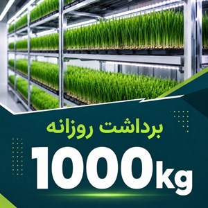 پکیج برداشت حدودی 1000کیلوگرم روزانه علوفه هیدروپونیک