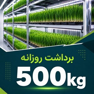 پکیج برداشت حدودی 500 کیلوگرم روزانه علوفه هیدروپونیک