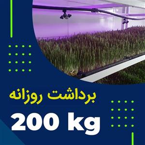 پکیج برداشت حدودی 200 کیلوگرم روزانه علوفه هیدروپونیک 