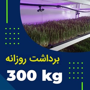 پکیج برداشت حدودی 300کیلوگرم روزانه علوفه هیدروپونیک