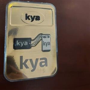 فلش 32 گیگ کیا بسیار  شیک و مخصوص کادو