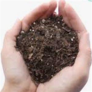 خاک برگ جنگلی شمال  بسته  5 کیلویی