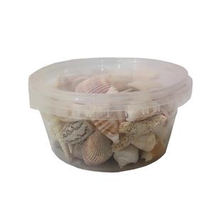 صدف تزیینی آکواریوم مدل 500 وزن 500 گرم