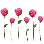 استیکر دیواری صالسو آرت طرح beautiful pink rose h.k