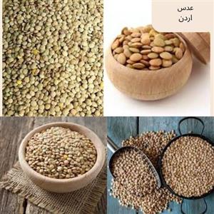 عدس اردن 1000گرم 