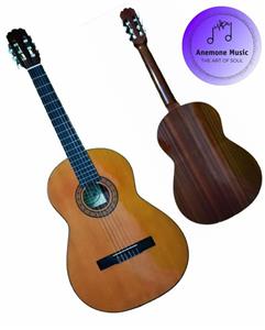 گیتار Carmencita 502