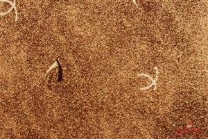 موکت ظریف مصور طرح هراز قهوه ای