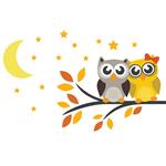 استیکر دیواری صالسو آرت طرح love owl hk