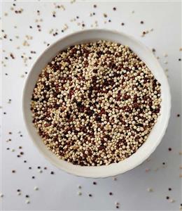 کینوا سه رنگ خارجی فله ای