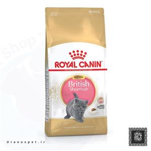 غذای خشک گربه رویال کنین مدل British Kitten وزن ۲ کیلوگرم