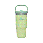 ماگ نی دار استنلی – Stanley Flip Straw tumbler 880 ml