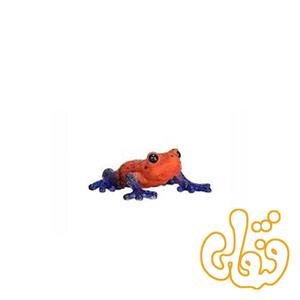 قورباغه درختی سمی Poison Dart Tree Frog 381016