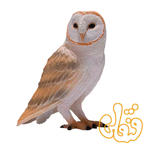 فیگور جغد انبار موجو Barn Owl 381054 