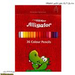 مداد رنگی 36 رنگ مقوایی الیگیتور (Alligator)