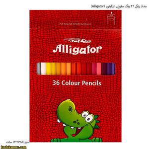 مداد رنگی 36 رنگ مقوایی الیگیتور (Alligator) 