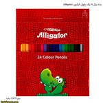 مداد رنگی 24 رنگ مقوایی الیگیتور (Alligator )
