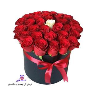 باکس رز قرمز 20 شاخه  (ارسال گل به انگلستان)