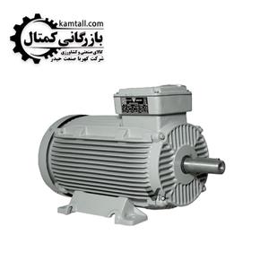 الکتروموتور موتوژن، 4 کیلو وات 3000 دور چدنی 