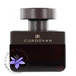 عطر ادکلن بنانا ریپابلیک کردوان | Banana Republic Cordovan