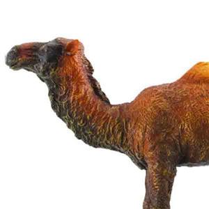 عروسک شتر کالکتا مدل 88208 سایز 2 Collecta Dromedary Camel 88208 Size 2 Toys Doll