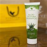 شامپو آلوئه جوجوبا فوراور Aloe-Jojoba Shampooگارانتی اصالت و مرجوعی 