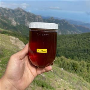 عسل بهاره کوهستان – 1000 گرم