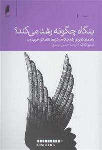 کتاب بنگاه چگونه رشد می کند نشر دنیای اقتصاد نویسنده استیو کلارک مترجم امیرحسین موسوی جلد شومیز قطع رقعی