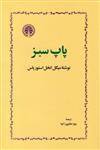 کتاب پاپ سبز نشر خوارزمی نویسنده میگل انخل استوریاس مترجم زهرا خانلری جلد شومیز قطع رقعی