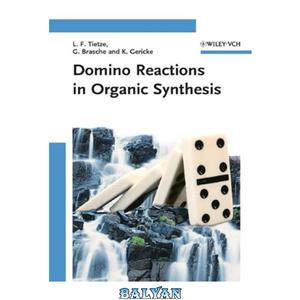 دانلود کتاب Domino Reactions in Organic Synthesis 