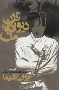 کتاب قرن دیوانه من نشر روزنه نویسنده ایوان کلیما مترجم علیرضا بهشتی شیرازی جلد شومیز قطع رقعی 