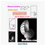 دانلود کتاب Fibonacci Numbers and the Golden Section