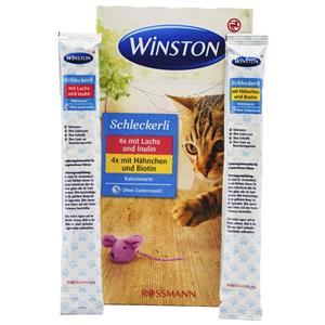 بستنی گربه Winston با طعم ماهی و مرغ