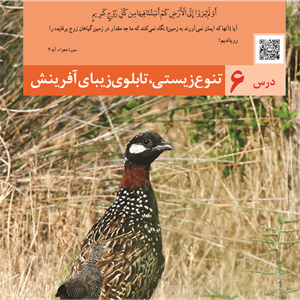 پاورپوینت درس 6 انسان و محیط زیست پایه یازدهم: تنوع زیستی، تابلوی زیبای آفرینش