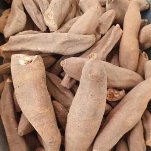 عود الصلیب - 1 کیلو