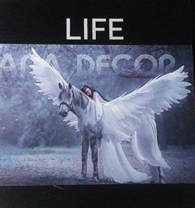 کاغذ دیواری البوم لایف LIFE