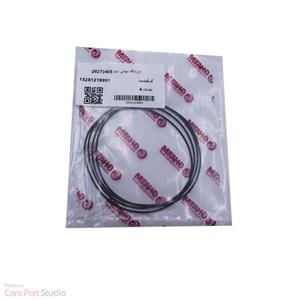 اورینگ دور بوش پژو 405 (XU7) قائم