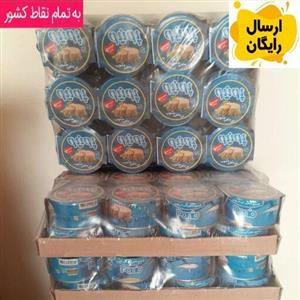 بسته 72عددی کنسرو تن ماهی 180گرم فیله هوور پونیو 180 گرم خالص