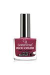 لاک ناخن ریچ کالر Rich Color شماره 22 رنگ قرمز بورگوندی گلدن رز Golden Rose 