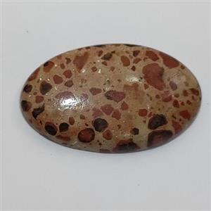 سنگ چشم پرنده یا سان فلاور  اصل ریولیت کلکسیونی کد r14