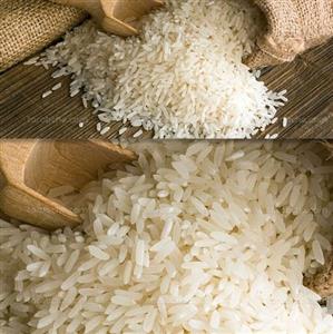 برنج طارم محلی مازندران 