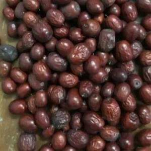 عناب تازه ارسال از بیرجند مهد عناب کشور بهترین کیفیت