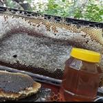 عسل بی نظیر و اعلا کفراج،تهیه شده در کوه های گرین،ساکارز2درصد،تضمینی