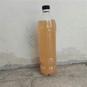 سرکه سیب تخمیری صددرصد طبیعی کیفیت عالی با وزن 1180گرم