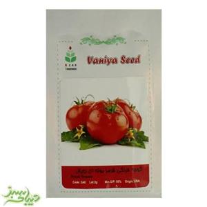 بذر گوجه فرنگی قرمز بوته ای رویال آذر سبزینه مدل G40 