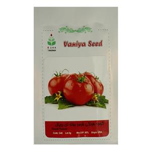 بذر گوجه فرنگی قرمز بوته ای رویال آذر سبزینه مدل G40 