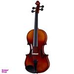Stagg VN-4/4 Acoustic Violin