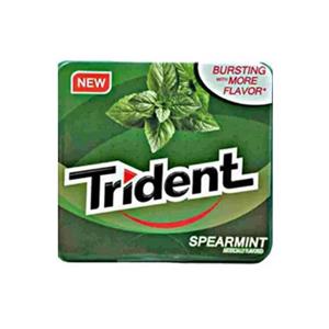 آدامس تریدنت فلزی نعنایی 35 گرم Trident