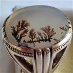 انگشتر شجر قائن درشت زیبا و شفاف با منظره ردیف درختان واضح  رکاب 4مهر دستساز