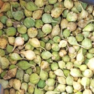 پودر انجیر مخصوص نرم کردن گوشت 200 گرم