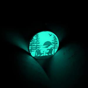 گردنبند شبتاب ساحل استیل رنگ ثابت